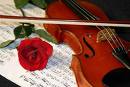 violin-rosa